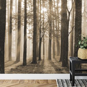 Papier Peint Lever Du Soleil En Sépia – Image 7