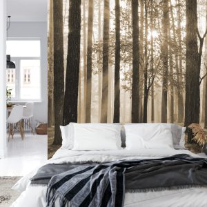 Papier Peint Lever Du Soleil En Sépia – Image 8