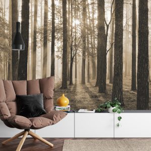 Papier Peint Lever Du Soleil En Sépia – Image 4