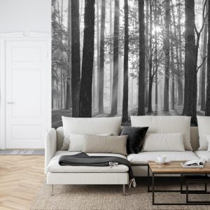 Papier Peint Lever Du Soleil En Noir Et Blanc – Image 6