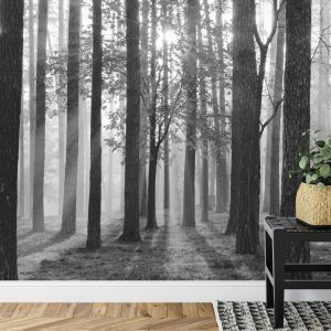 Papier Peint Lever Du Soleil En Noir Et Blanc – Image 7