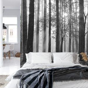 Papier Peint Lever Du Soleil En Noir Et Blanc – Image 8