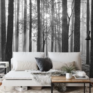 Papier Peint Lever Du Soleil En Noir Et Blanc – Image 3