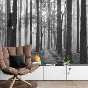 Papier Peint Lever Du Soleil En Noir Et Blanc – Image 4