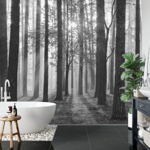 Papier Peint Lever Du Soleil En Noir Et Blanc – Image 5