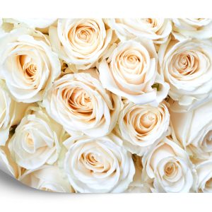 Papier Peint Crème De Bouquet De Roses – Image 2