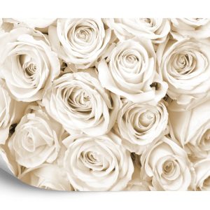 Papier Peint Rose Bouquet Sépia – Image 2