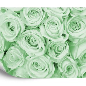 Papier Peint Rose Bouquet Vert – Image 2