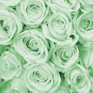 Papier Peint Rose Bouquet Vert – Image 1