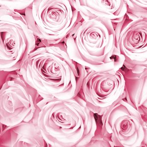 Papier Peint Rose Bouquet Rose – Image 1