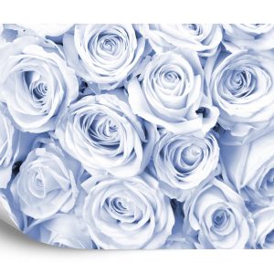 Papier Peint Rose Bouquet Bleu – Image 2