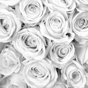 Papier Peint Bouquet De Roses Noir & Blanc – Image 1