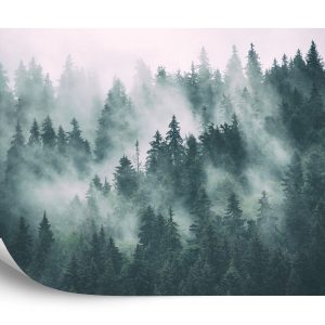 Papier Peint Forêt Dans La Brume – Image 2