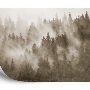 Papier Peint Forêt Dans La Brume Texturée En Sépia – Image 2