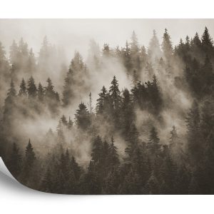 Papier Peint Forêt Dans La Brume En Sépia – Image 2