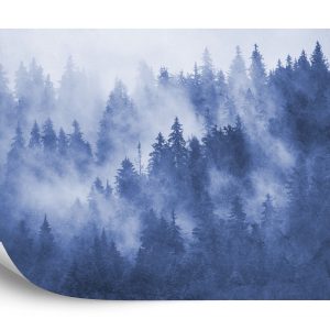 Papier Peint Forêt Dans La Brume Texturée En Bleu – Image 2