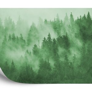Papier Peint Forêt Dans La Brume En Vert – Image 2