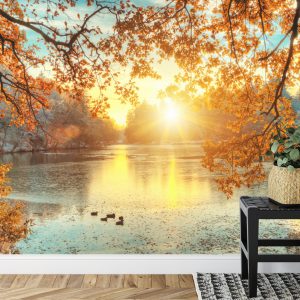 Papier Peint Coucher De Soleil D'automne – Image 7