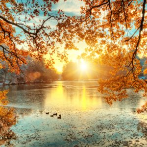 Papier Peint Coucher De Soleil D'automne – Image 1