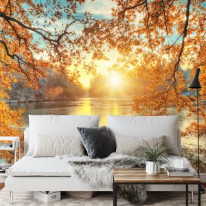 Papier Peint Coucher De Soleil D'automne – Image 3