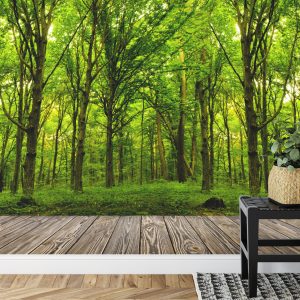 Papier Peint Entrez Dans Le Bois Vert Profond – Image 7