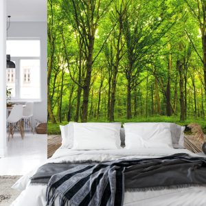 Papier Peint Entrez Dans Le Bois Vert Profond – Image 8