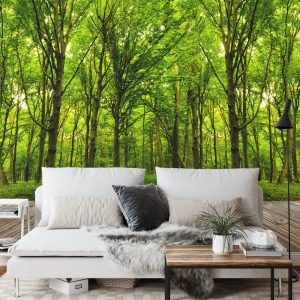 Papier Peint Entrez Dans Le Bois Vert Profond – Image 3