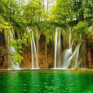 Papier Peint Eaux Vertes – Image 1