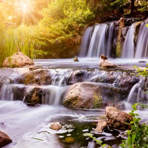 Papier Peint Les Cascades – Image 1