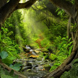 Papier Peint La Voie Cachée – Image 1