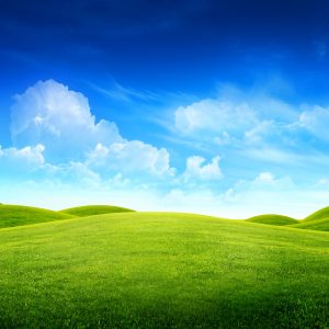 Papier Peint Le Jour Parfait – Image 1