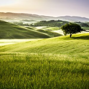 Papier Peint Collines – Image 1