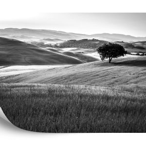 Papier Peint Rolling Hills En Noir Et Blanc – Image 2