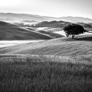 Papier Peint Rolling Hills En Noir Et Blanc – Image 1