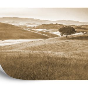 Papier Peint Rolling Hills Faded Vintage En Sépia – Image 2