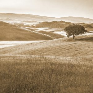 Papier Peint Rolling Hills Faded Vintage En Sépia – Image 1