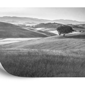 Papier Peint Rolling Hills Faded Vintage En Noir Et Blanc – Image 2