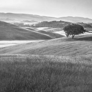 Papier Peint Rolling Hills Faded Vintage En Noir Et Blanc – Image 1