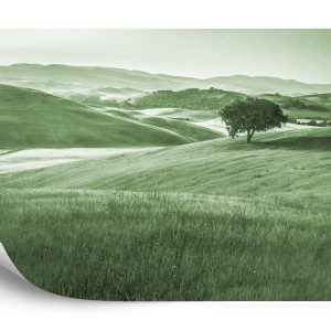 Papier Peint Rolling Hills Faded Vintage En Vert – Image 2