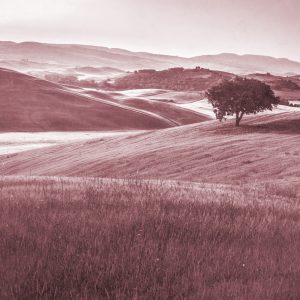 Papier Peint Rolling Hills Faded Vintage En Rouge – Image 1