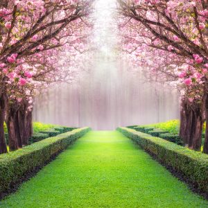 Papier Peint Rêves De Jardin – Image 1