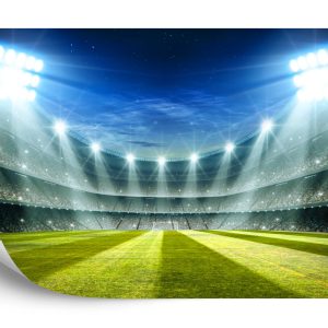 Papier Peint Stade Des Champions – Image 2