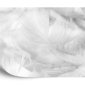 Papier Peint Plumes En Noir Et Blanc – Image 2