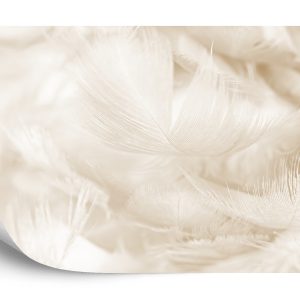 Papier Peint Plumes En Sépia – Image 2