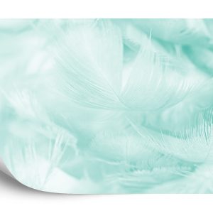 Papier Peint Plumes En Turquoise – Image 2