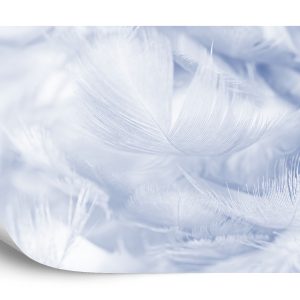 Papier Peint Plumes En Bleu – Image 2