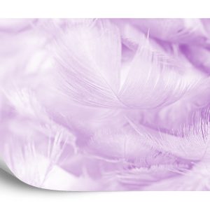 Papier Peint Plumes En Violet – Image 2