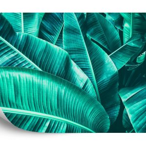 Papier Peint Feuilles De Banane – Image 2