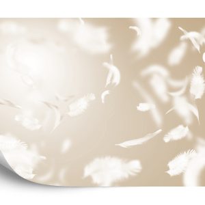 Papier Peint Flottant En Sépia – Image 2