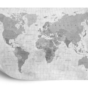 Papier Peint Carte Du Monde Monochrome Texturé – Image 2